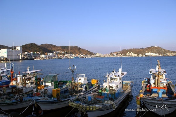 후포항, 울진대게와 붉은대게를 만날 수 있는 곳 | 블로그
