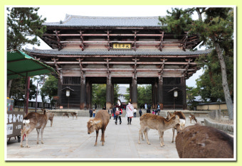 일본 나라 '동대사'(東大寺)와 사슴공원