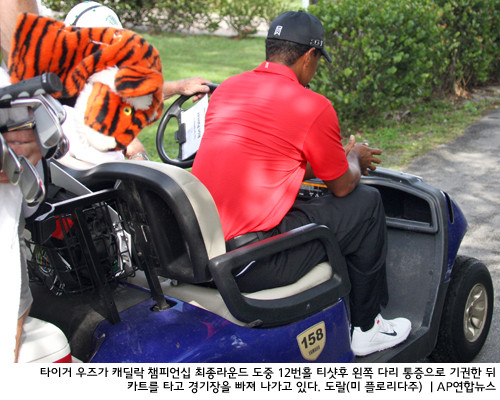 골프 황제 타이거 우즈, 아킬레스건 수술로 4월 마스터스 대회 출전 불투명해져