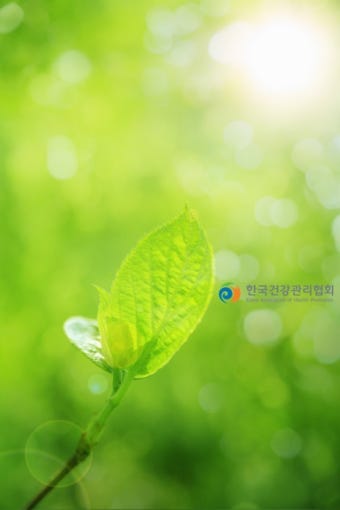 2012  춘분-뜻,유래,속담