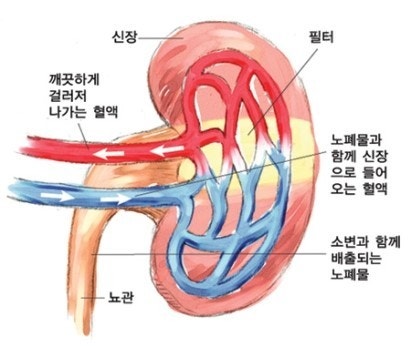 웰밸런스 이미지