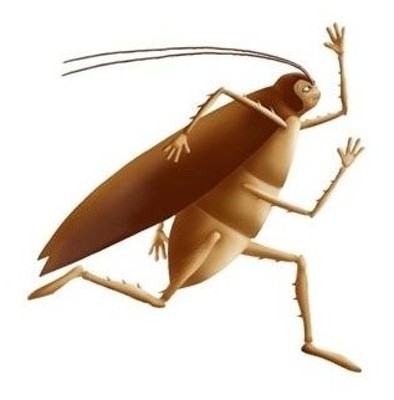 바퀴벌레없애는법으로 바퀴벌레 박멸 퇴치하자! | 블로그