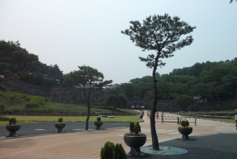 모미랑 이미지