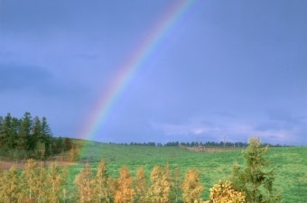 식민지 동종업계 타사