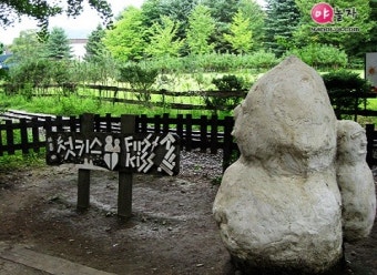 [남이섬여행] 겨울연가 촬영지, 남이섬에 가다