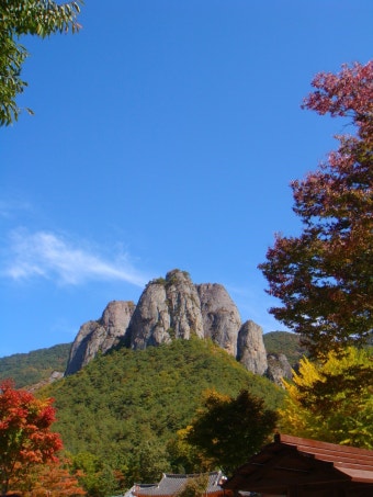 청송 이미지