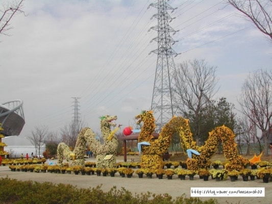 진주 국화 축제와 진주 박물관 | 블로그