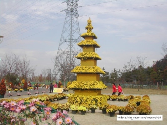 진주 국화 축제와 진주 박물관 | 블로그