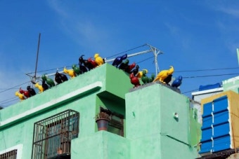 부산-국제시장,깡통시장,보수동 책방골목,biff광장,감천문화마을,OPS빵