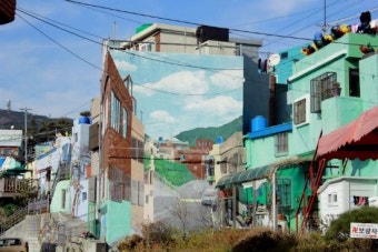 부산-국제시장,깡통시장,보수동 책방골목,biff광장,감천문화마을,OPS빵