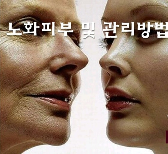 숨쉬는 피부 이미지