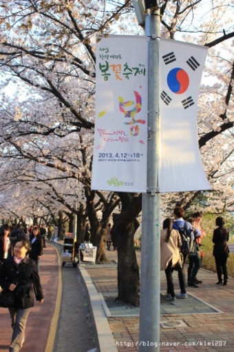 2013 한강 여의도 봄꽃축제-