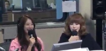 시크릿 전효성 민주화 발언 논란, 일베인 의혹?