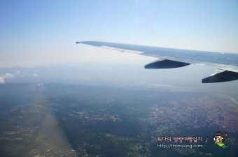 대만 여행 : 우라이온천, 용산사, 사대야시장, 타이페이 동물원, 다안공원