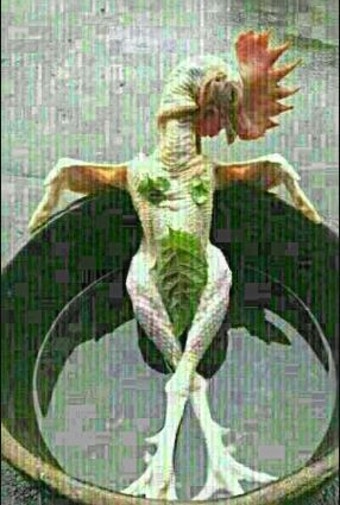 오늘 초복 삼계탕