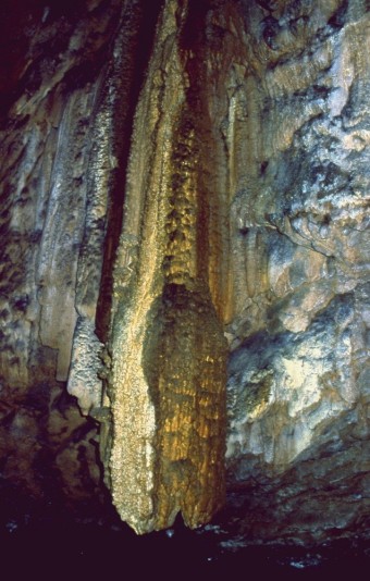 삼척 대이리 동굴지대, 옛 지하의 흔적을 찾아서