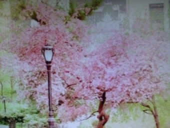 쾌걸춘향을 다시 보며 재희 매력을 느껴볼까나