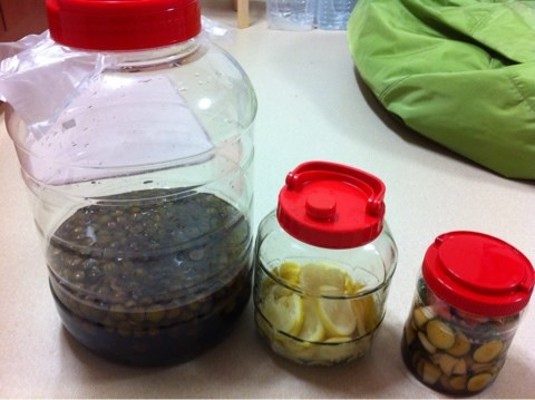 <tea> 레몬절임(레몬청), 오이양파피클, 매실액기스, 복분자액기스 만들기, 레몬껍질 활용법 | 블로그