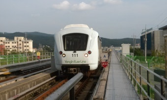 에버라인