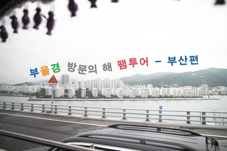 박근혜 전 대통령, 김문수 후보 지지에 총력전... 대통령 선거 마지막 유세일로 부울경 호소