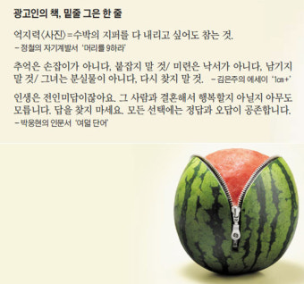 보성광고 이미지