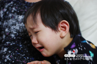 아침부터 그님이 대성통곡하는 이유는??