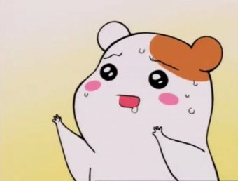 신미방 이미지