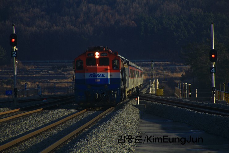 폭우로 장항선, 경북선, 충북선 운행 중지...KTX는 정상 운행중.