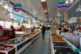 삼천포 용궁수산시장 나들이