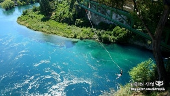 번지점프 Bungy Jump 뉴질랜드 타우포 TAUPO