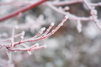 내일은 24절기 우수! 우수의 뜻은 무엇일까요?