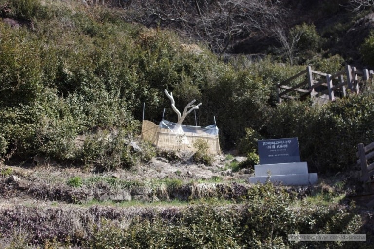 하동상회 이미지