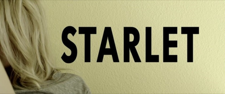 스타렛 (Starlet, 2012) | 블로그