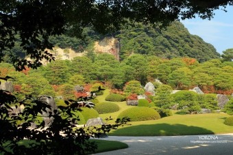 [DBS로 떠난 일본 산인지역 1박2일!] 아다치미술관, 11년 연속 일본 정원 1위에 선정되다.