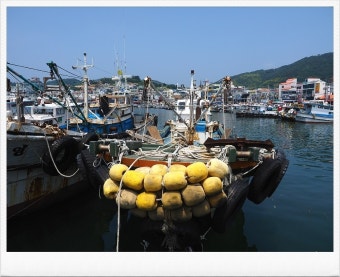 삼천포 용궁수산시장 풍경