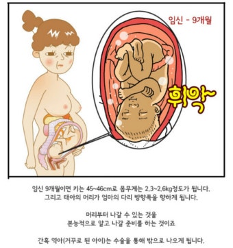임신 9개월