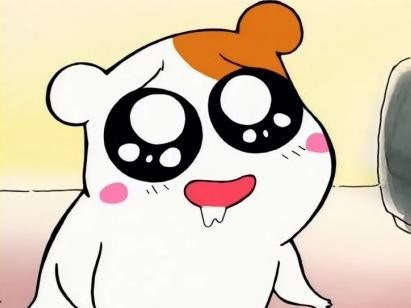 참다랑어막주는집 이미지