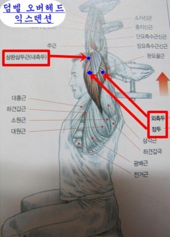 이룸PT 이미지