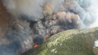 캐나다의 대형 산불