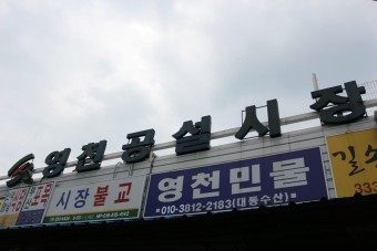 [영천시장] 경북영천에 있는 영천시장 돔배기의 추억을 찾아서~