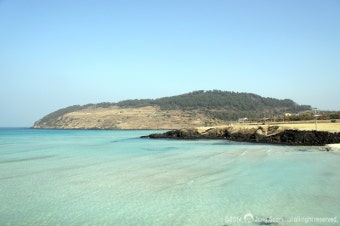 제주 함덕서우봉해변 야영장