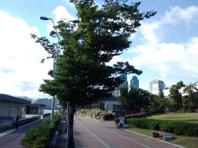 영화의전당 시네마틱 미디어아트전 : 빛의 시네마