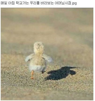 득근GYM 이미지