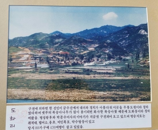 강산수석 이미지