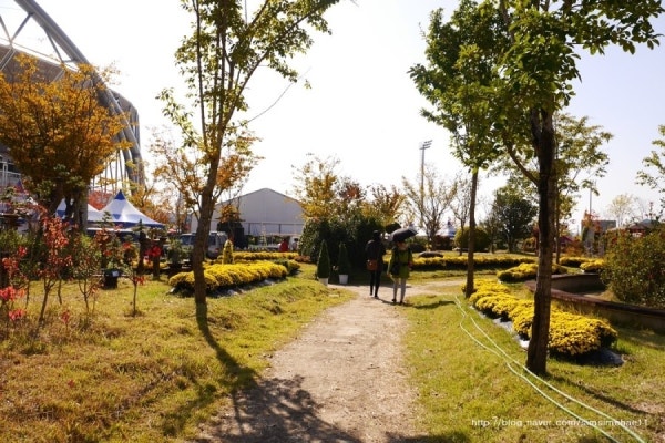 진주가볼만한곳 진주국화축제 가을이구나~ | 블로그