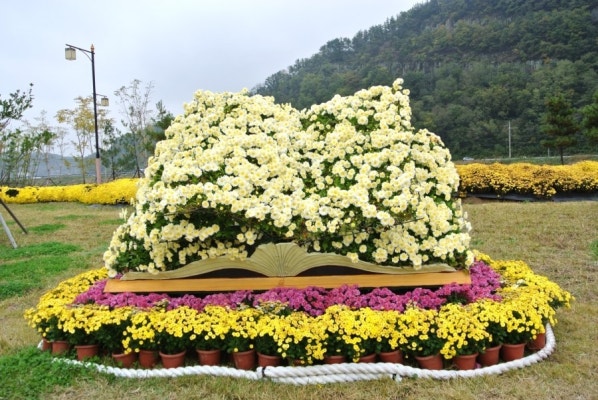 진주 국화축제 | 블로그