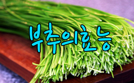 자이언츠주유소 이미지