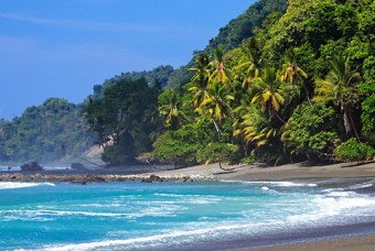 정글의법칙/코스타리카 - 오사반도,산호세,코르코바도 국립공원,빨간눈청개구리,가요핀토,카페 초레아도,둥근돌