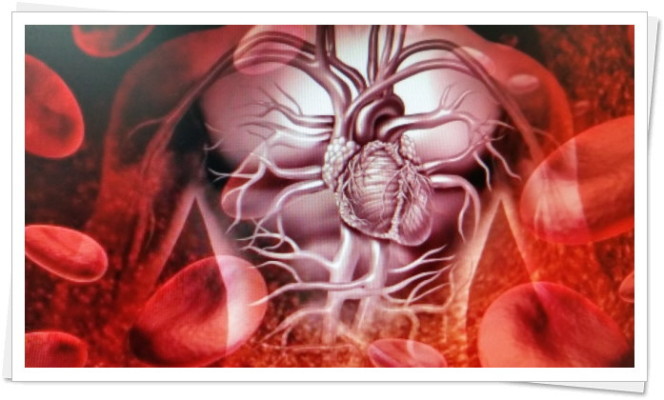 심장마비 초래하는 뜻밖의 5가지원인 | 블로그