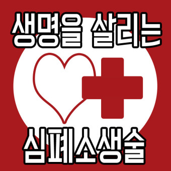 생명을 살리는 심폐소생술 방법 과 심폐소생술 순서 그리고 동영상